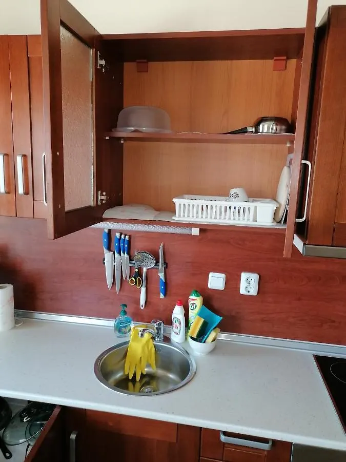 Ivavev Cedarlodge Bansko Bulgaria