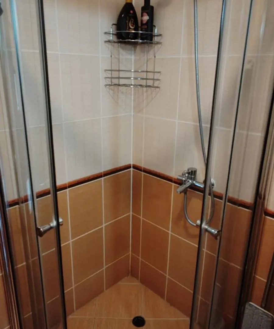 Apartment Ivavev Cedarlodge Bansko Bulgaria