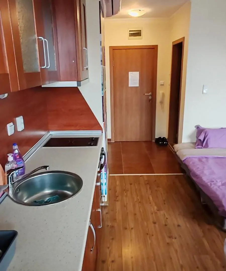 Ivavev Cedarlodge Bansko Apartment
